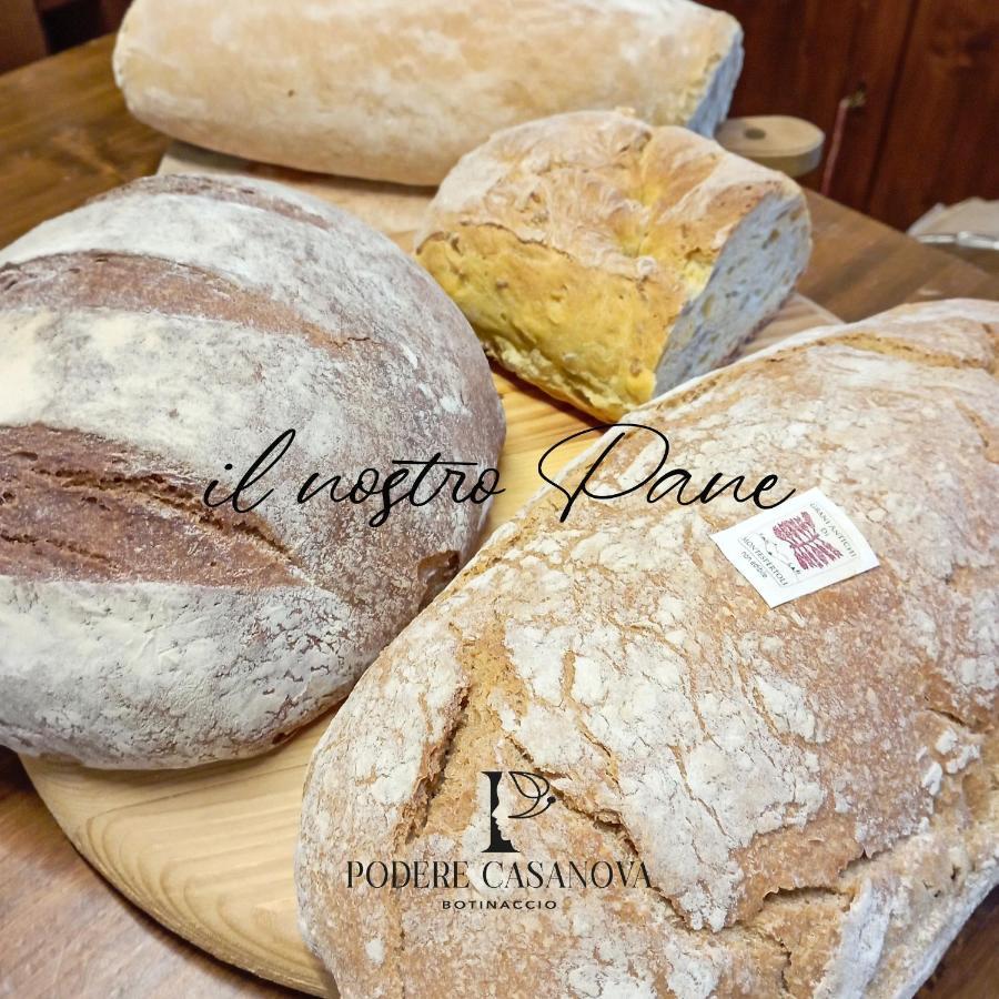Podere Casanova Montespertoli Luaran gambar