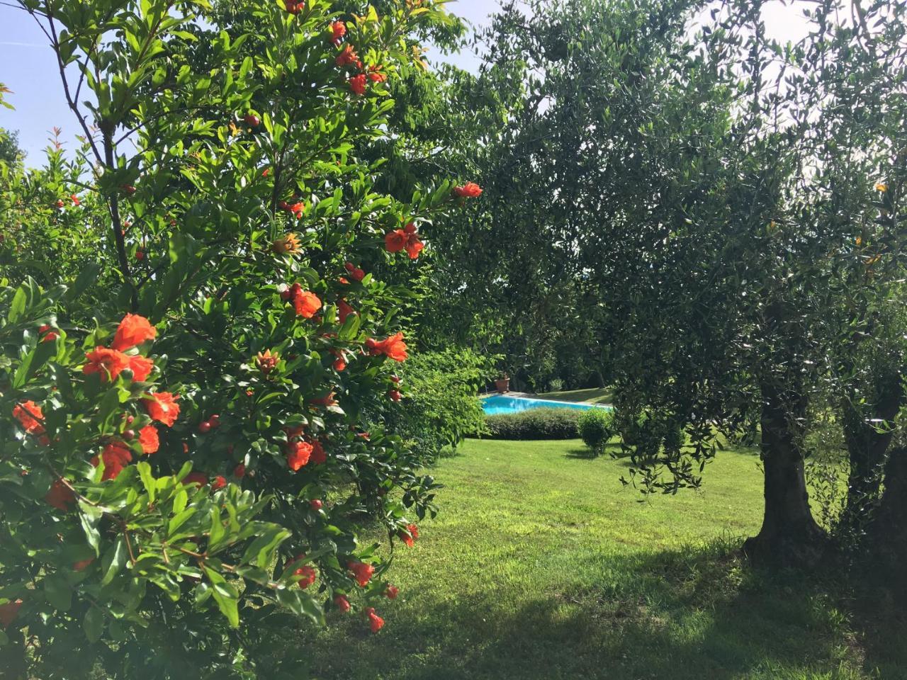 Podere Casanova Montespertoli Luaran gambar